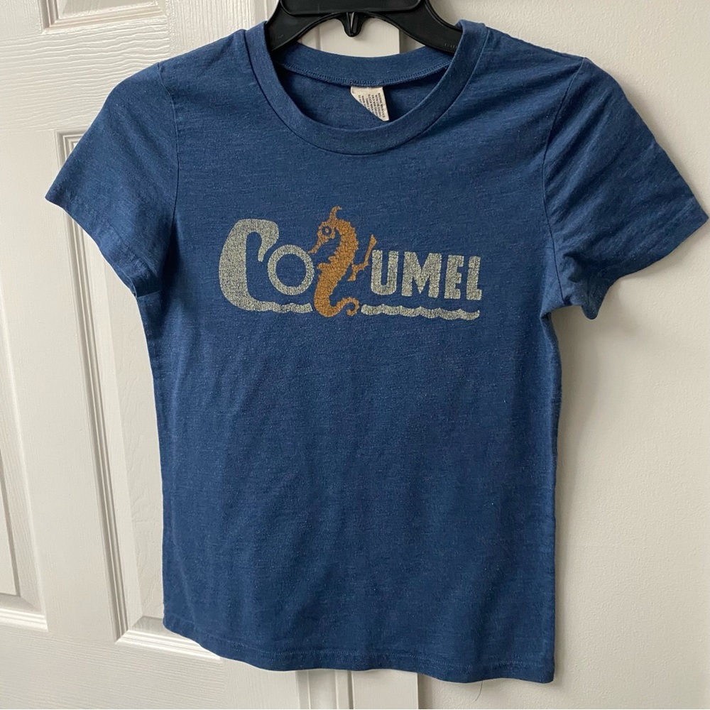 Abercrombie and Fitch Vintage Cozumel Seahorse T-shirt in Medium